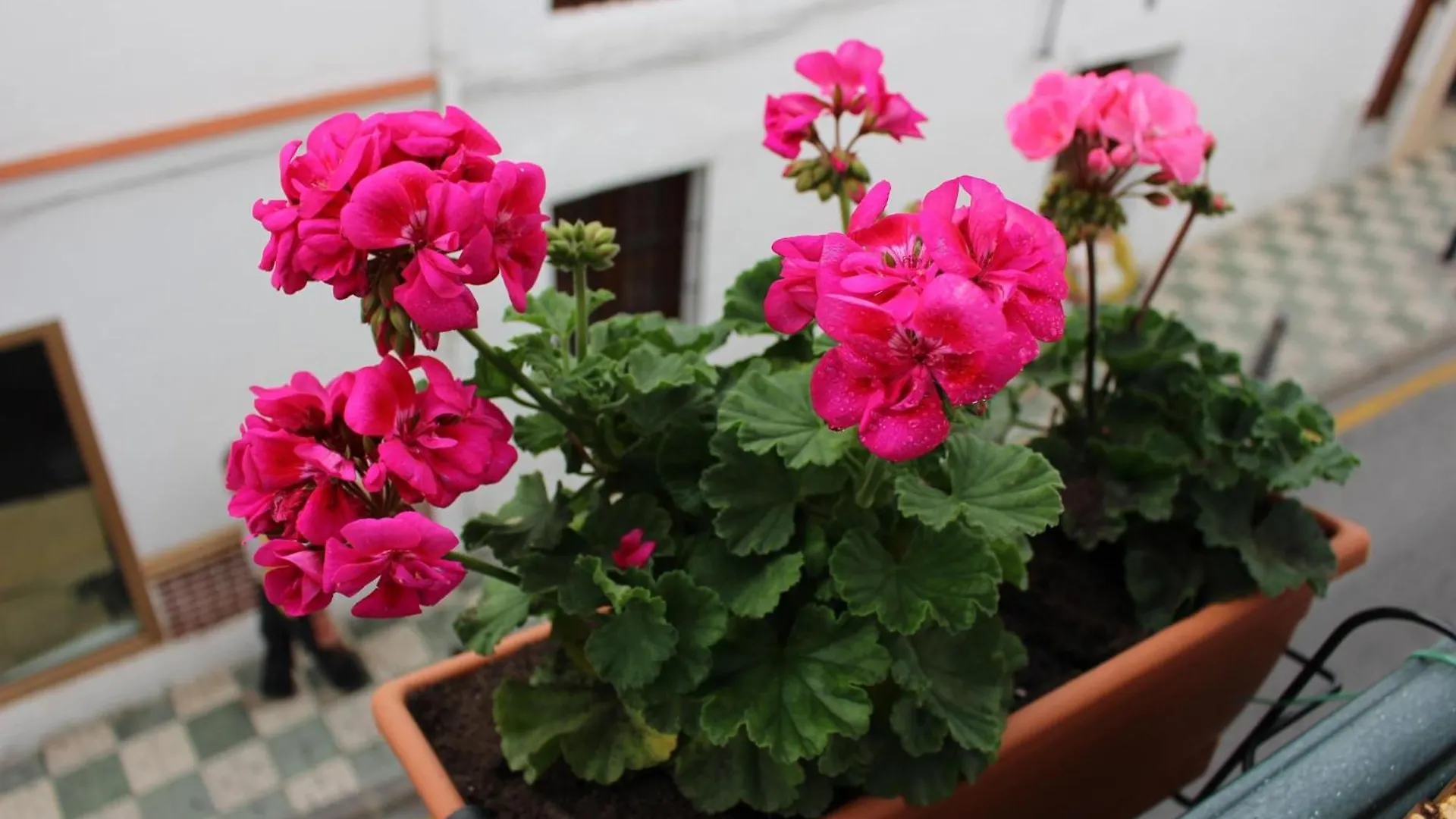 Διαμέρισμα Gemuetliche Ferienwohnung Im Herzen Von Nerja